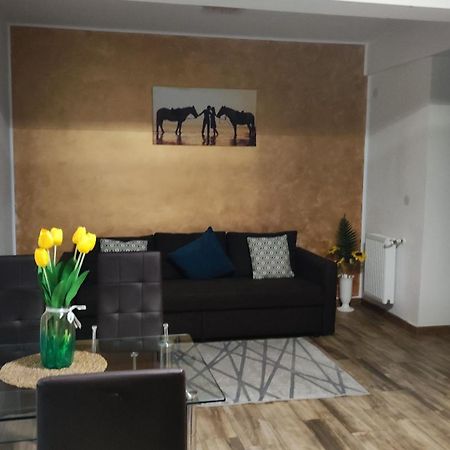 Apartament Lenus'K Apartment Bucharest Luaran gambar